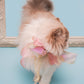 Butterfly Bowtie Collar For Cat