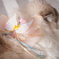 Give-Me-Wings Harness For Cat  (leash included)