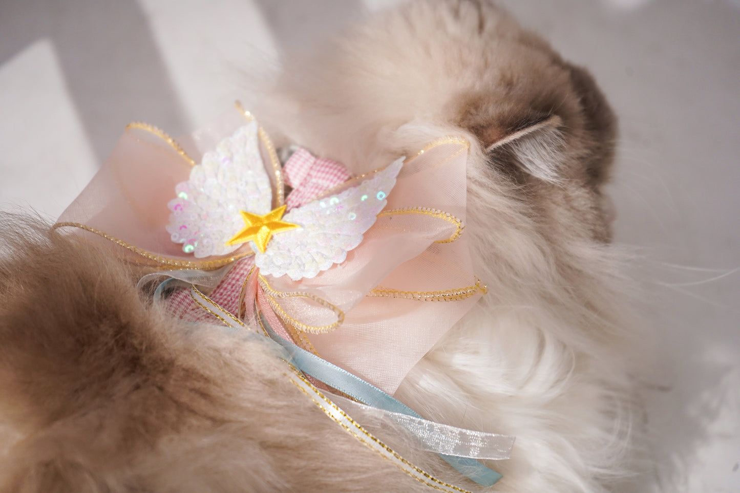 Give-Me-Wings Harness For Cat  (leash included)