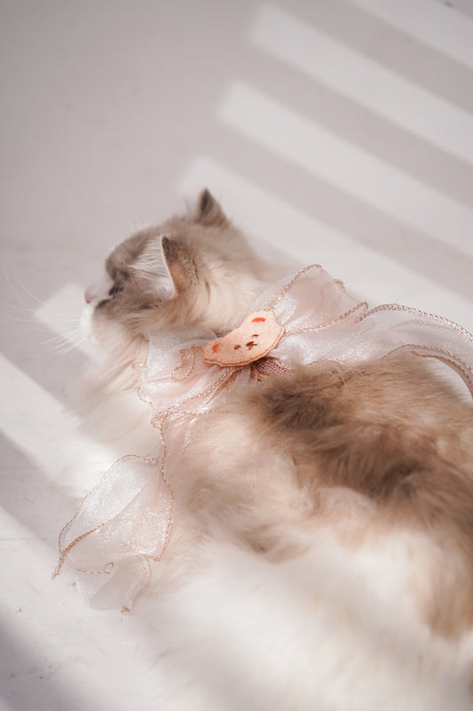 Teddy Bear Harness For Cat (leash included)