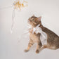 White butterfly bowtie collar For Cat