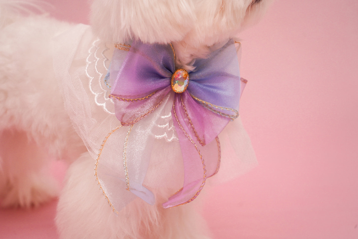 Cinderella’s Scarf For Dog