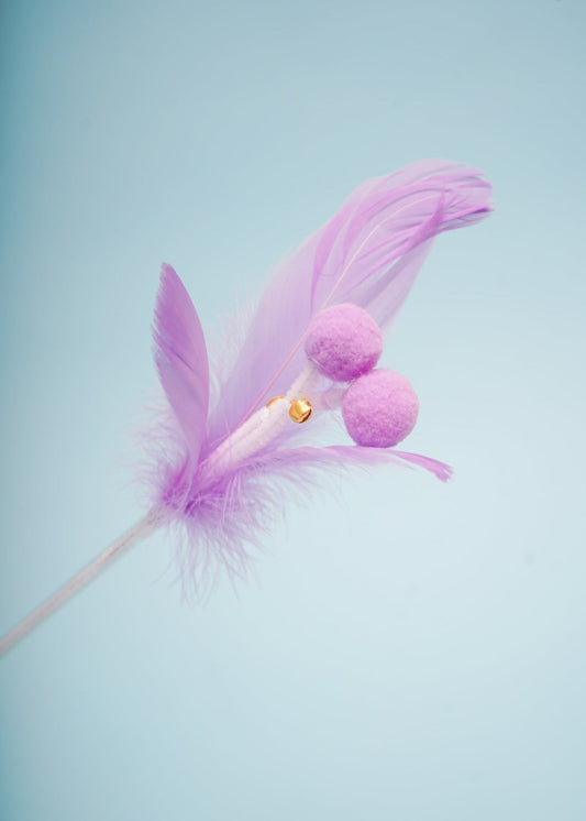 Purple Bliss