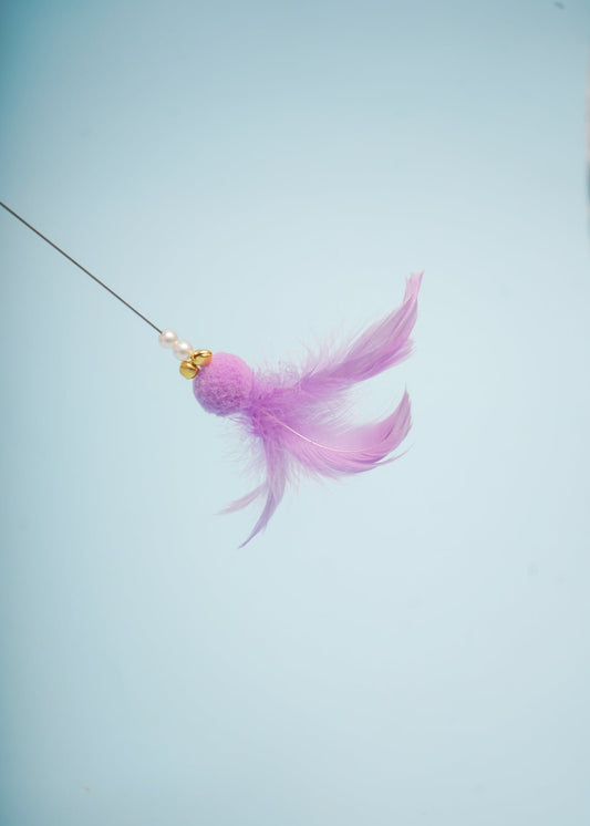 Purple Twinkle