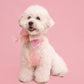 Butterfly Bowtie Collar For Dog