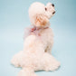 Cherry Blossom Harness Set For Dog (leash included)