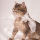 White butterfly bowtie collar For Cat