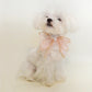 Butterfly Bow Scarf For Dog