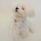 White Butterfly Bowtie Collar For Dog