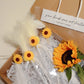 Cat Teaser Gift Bag