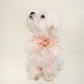 Sheer Bowtie Collar For Dog